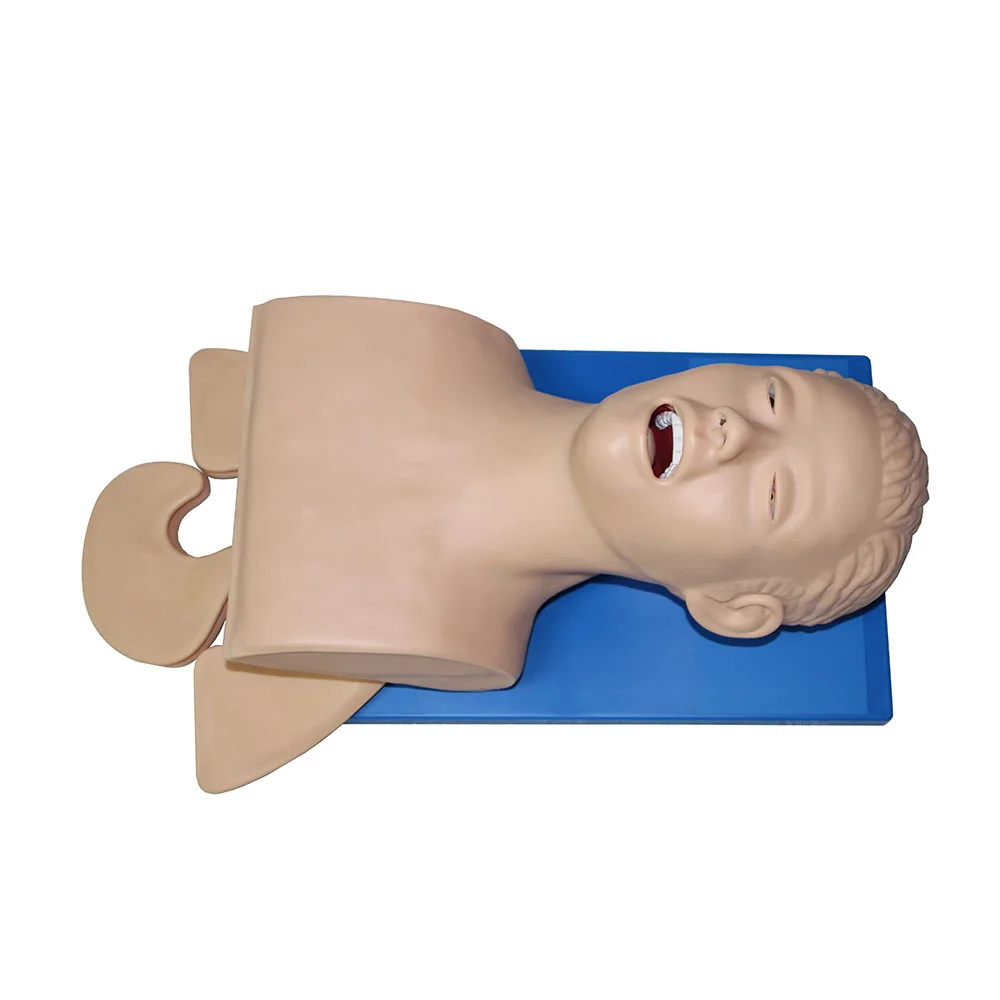Обучающая модель манекена для интубации обучающая тренажер управления
