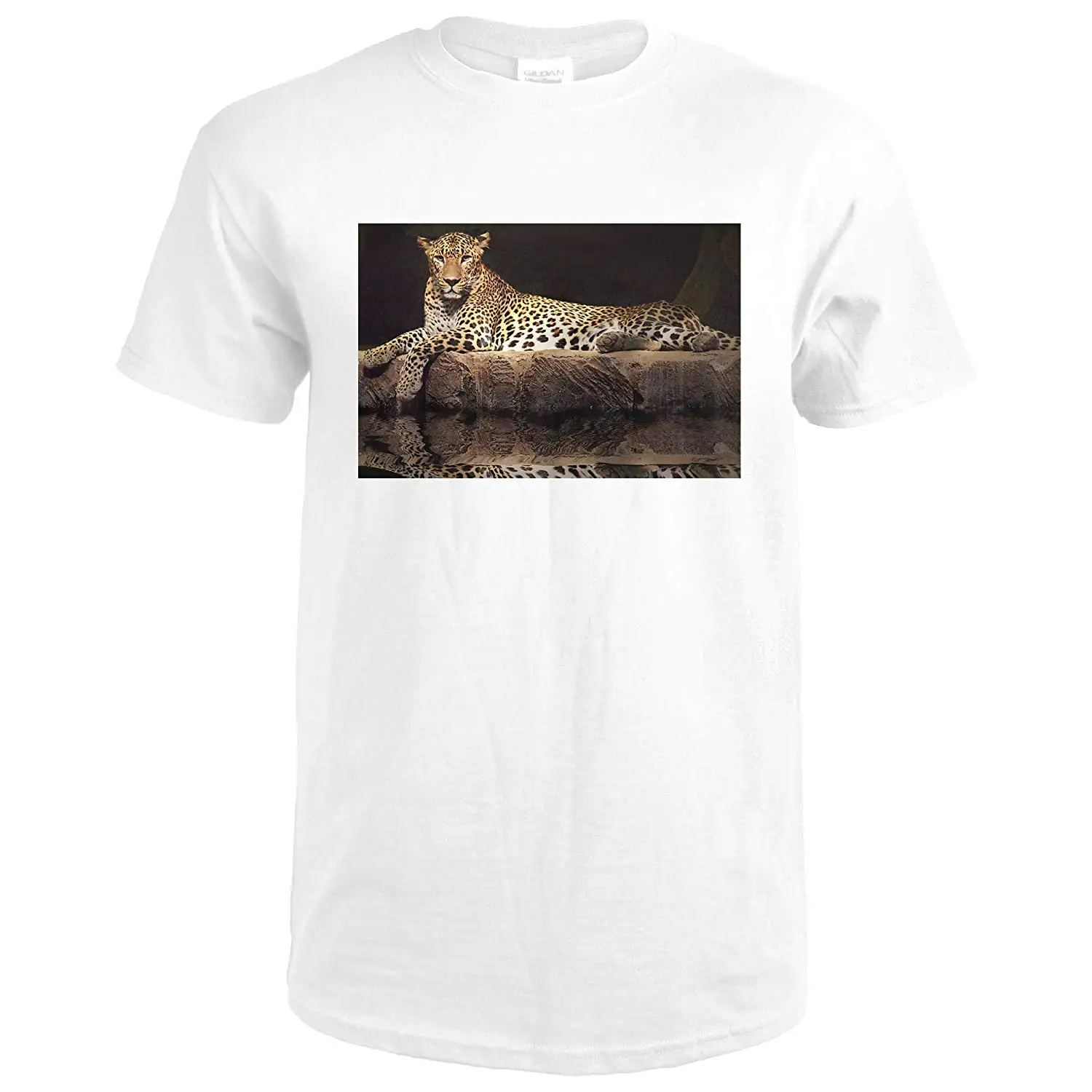 Jaguar 84941 (Premium White T-Shirt X-Large) |