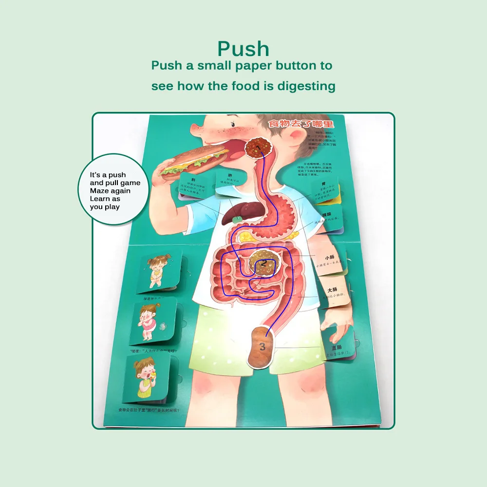 

Baby Early Education Toy Books Encyclopedia Of Human Body For Toddlers Our Body Children's 3D Pop-Up Book Flip Book Funny Gift