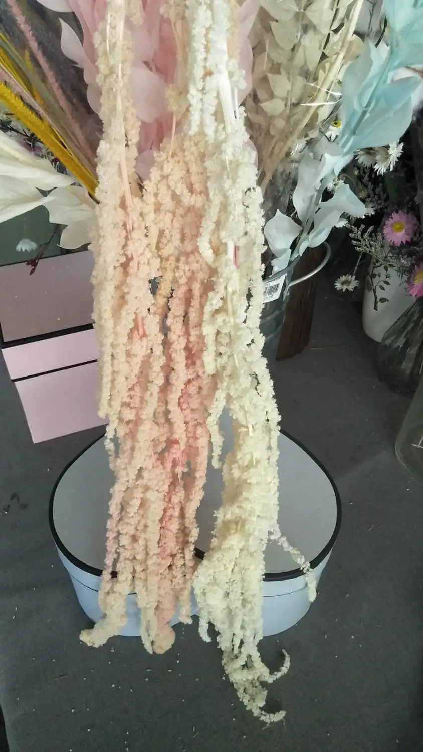 Букет сухих натуральных цветов Amaranthu 60 см сохраненное просо длинные мягкие