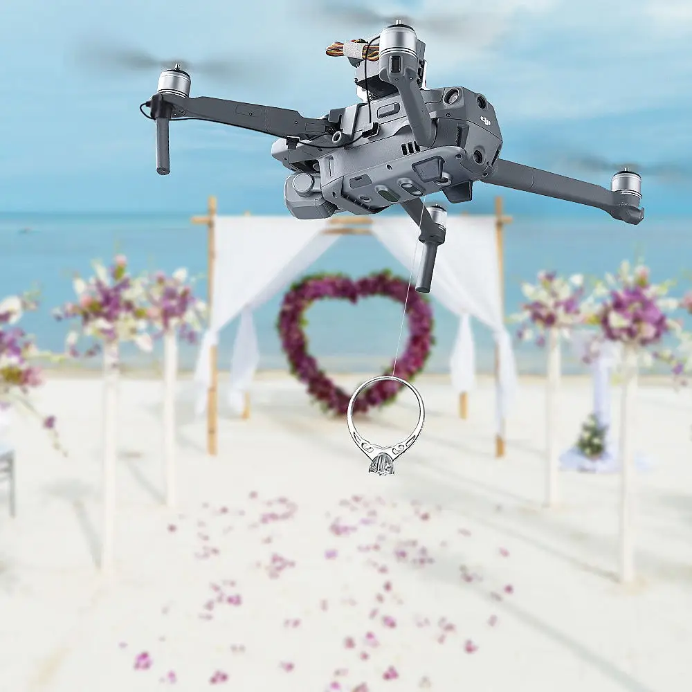 Подарочное кольцо для спасательной рыбалки DJI Mavic 2 Pro Zoom Drone|Силовая установка| |