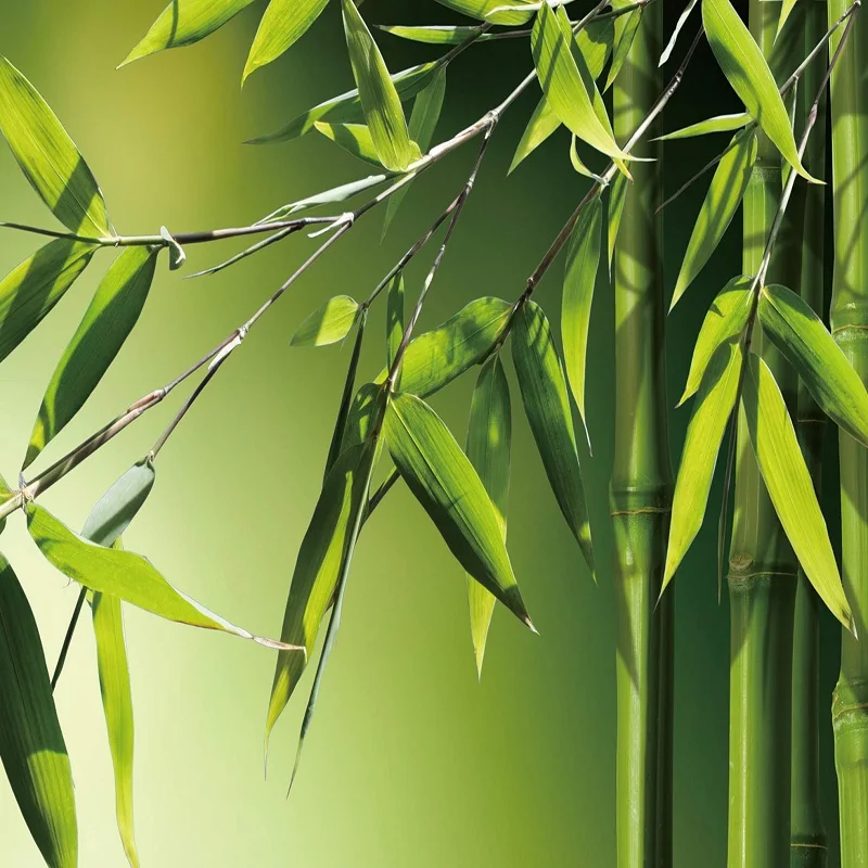 Пейзаж в японском стиле бамбуковые камни холст художественная живопись плакаты