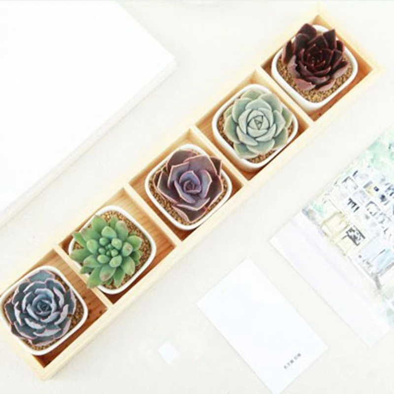 Fleshy Flower Iron Ceramics Flowerpot Wooden Box Succulent Plant Pot Rack Planter Bonsai 5 Grid | Дом и сад
