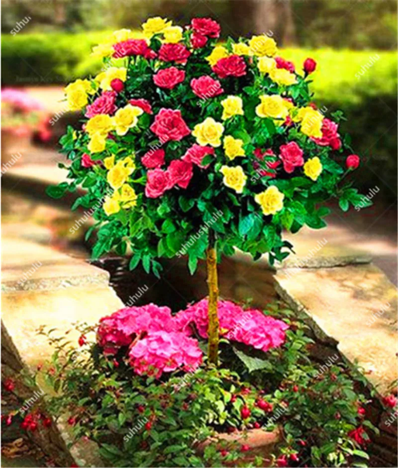 200 шт. искусственная Роза | Дом и сад