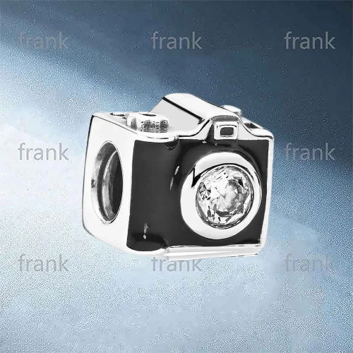 

791709CZ Sentimental Snapshots