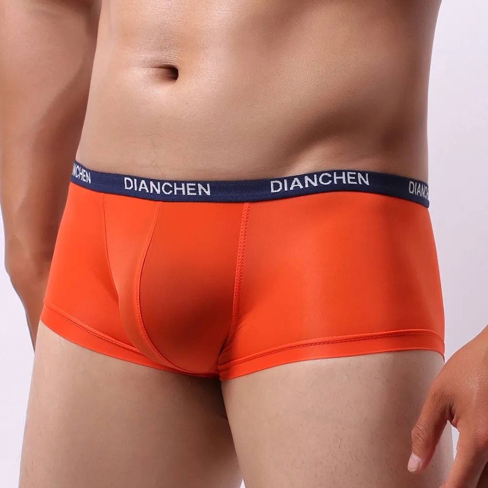 

Ice Silk Underwear Man Sexy Seamless Translucent Brief Mens Smooth Soft Panties Male Stretch Tight Underpant Man Bulge Knicker