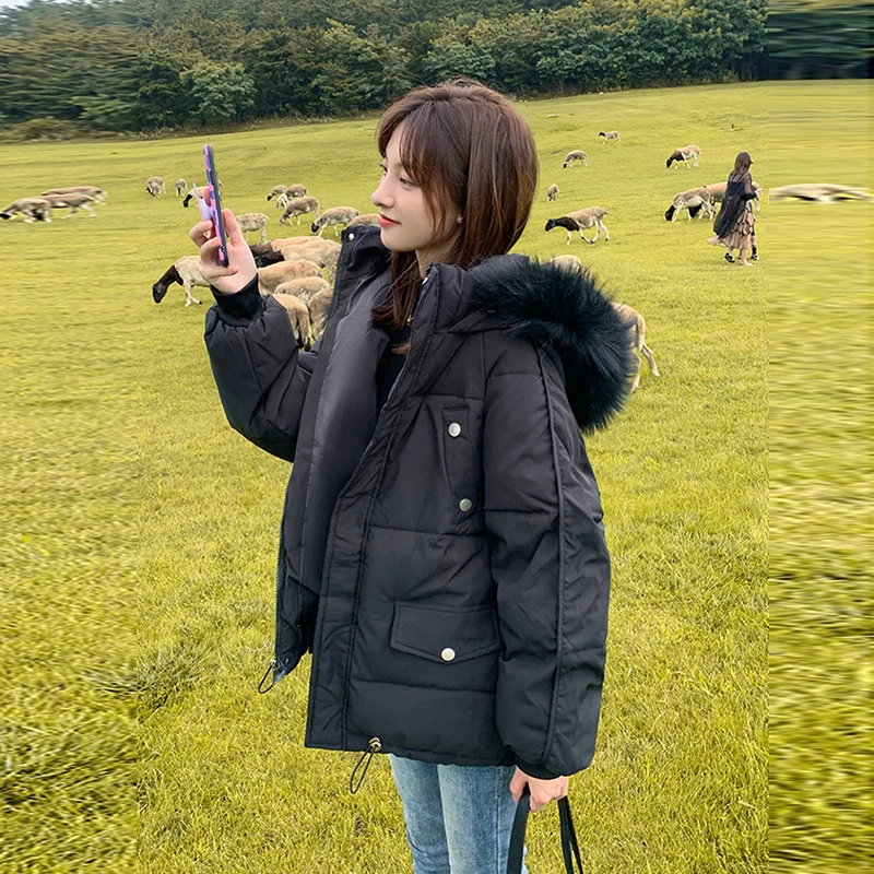 Parkas Woman 2021 New Streetwear Casual Zipper Winter Padded Pink Hooded Jacket Polyester Basic Autumn Coat Clothing Female