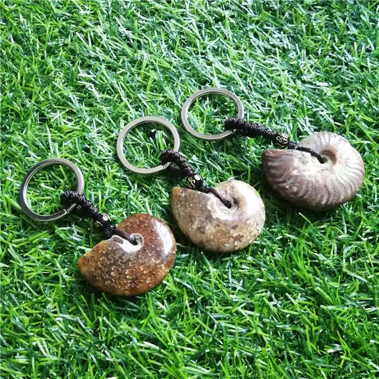 Beautiful Natural Stone Ammonite Fossils Seashell Snail keychain Ocean Reliquiae Conch Animal Necklaces Statement Men Jewellery | Украшения