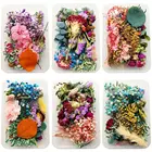 1 коробка Хрустальный эпоксидный наполнитель сухой цветок смешанные наклейки для ногтей украшения материал для наполнения смолы аксессуары для изготовления ювелирных изделий