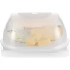 Средний сырный мир Tupperware