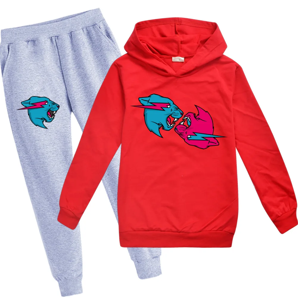 Casual Boys Clothes 2PCS Set Children's Cartoon Cat 3D Print Cotton Hooded + Pants Boys Kids Sportswear Tracksuit Girls Suit