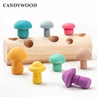Деревянные радужные блоки, игра Монтессори для сбора грибов, Обучающие деревянные детские игрушки, развивающая форма, подходящая сборка, захват