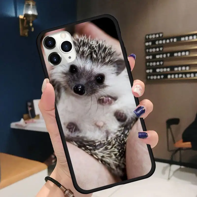 

Hedgehog Phone Case for iPhone 11 12 mini pro XS MAX 8 7 6 6S Plus X 5S SE 2020 XR