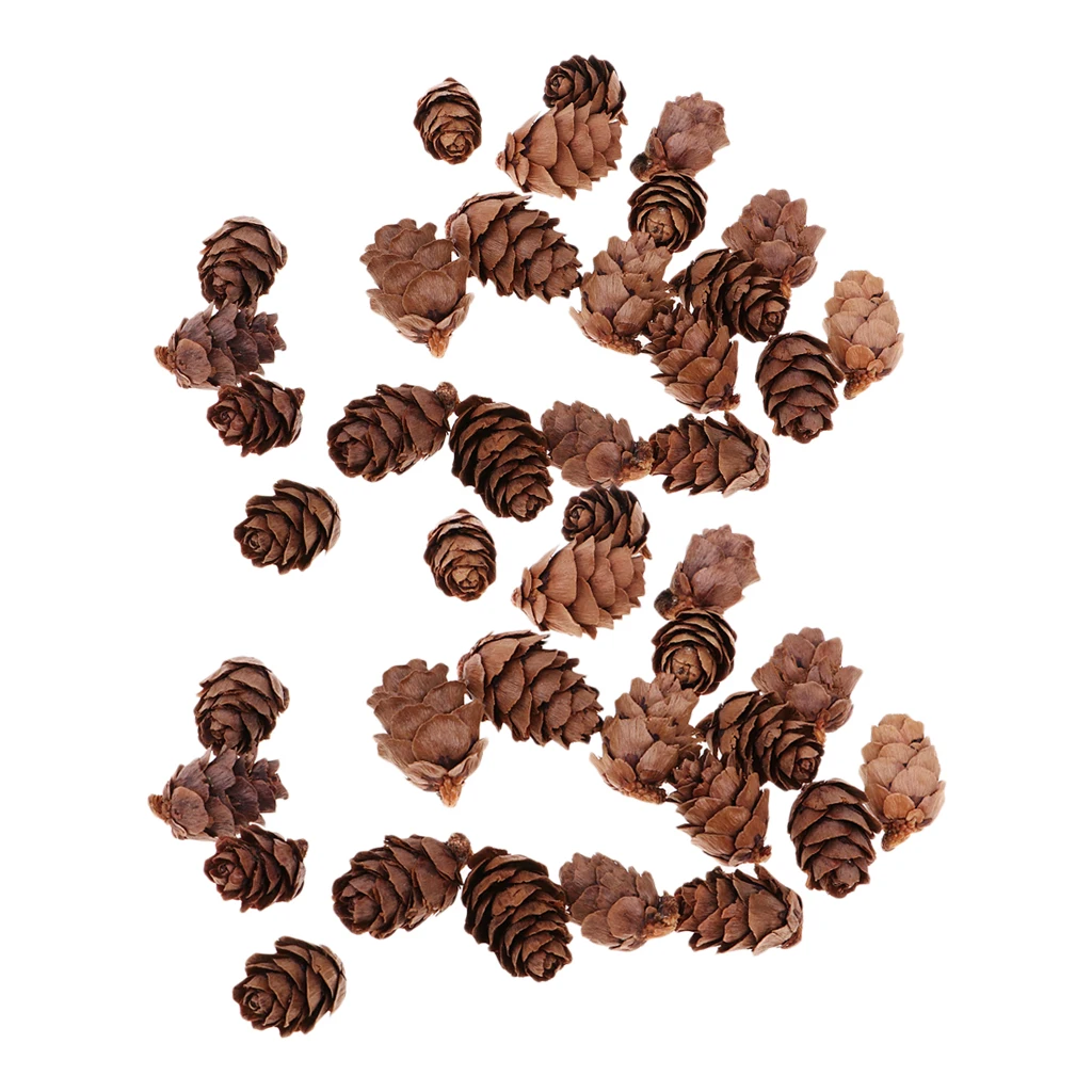 Фото 100x натуральный декоративный сосновый конус Pinecone для Рождественского украшения 100x натуральный декоративный сосновый конус Pinecone для Рождественского украшения
