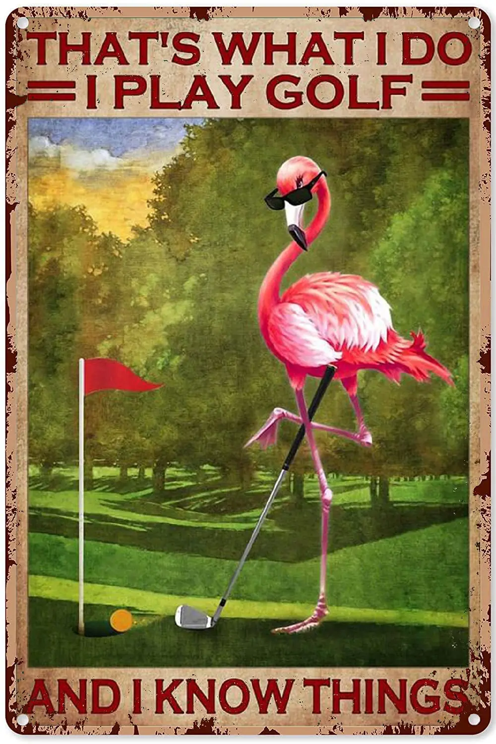 

Flamingo Decor Birthday Flamingo Thats What I Play Golf and I Know Things Poster,Retro Flamingo Bathroom Metal Sign 16x12 inch