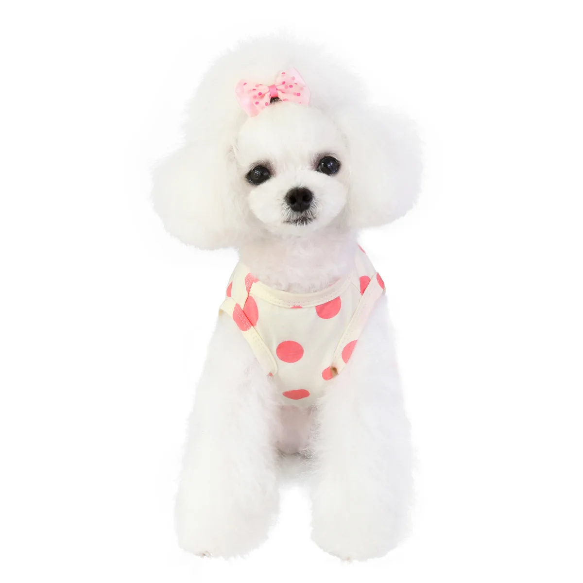 

Cotton Winter Black Dot Dog Dress Pet Clothes Chihuahua Girl Lovely Dresses Skirt Puppy Go Out Clothes For Small Medium Dogs