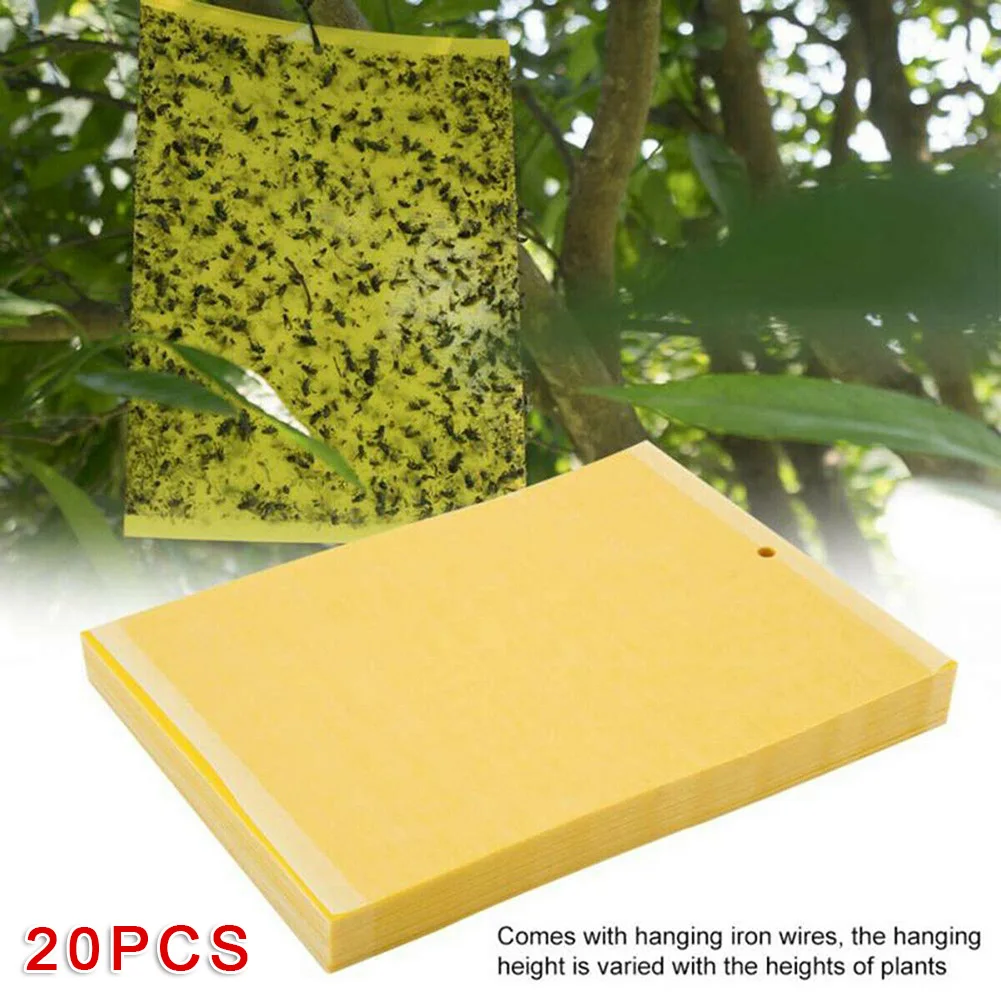 

Fruit Bugs Sticky Boards Fly Outdoor Trap Paper Garden Insect 20*12.5cm