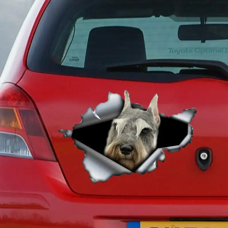 

2021 Grey Schnauzer car decal , Grey Schnauzer magnet, Schnauzer sticker