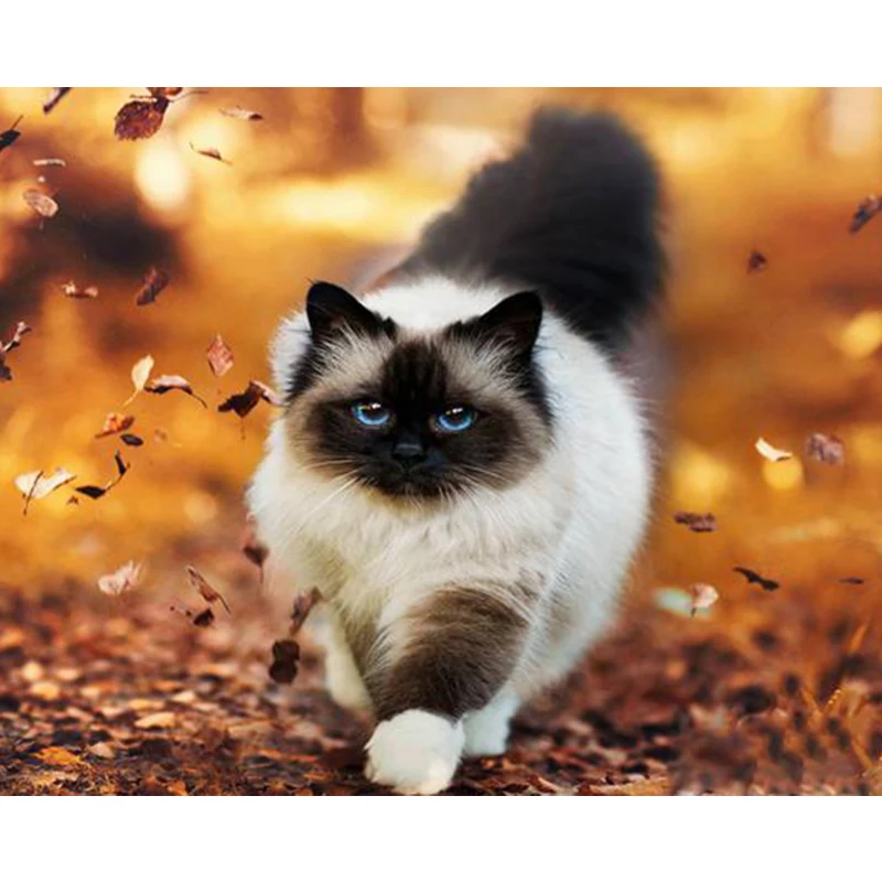 Алмазная картина с животными вышивка крестом Кот/собака мозаика из смолы