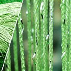 Fruit Green 200x100 см роскошный хрустальный занавес, блестящая кисточка, струнная дверная Штора для окна комнаты, разделитель, украшение дома, cortinas - Цвет: Fruit Green