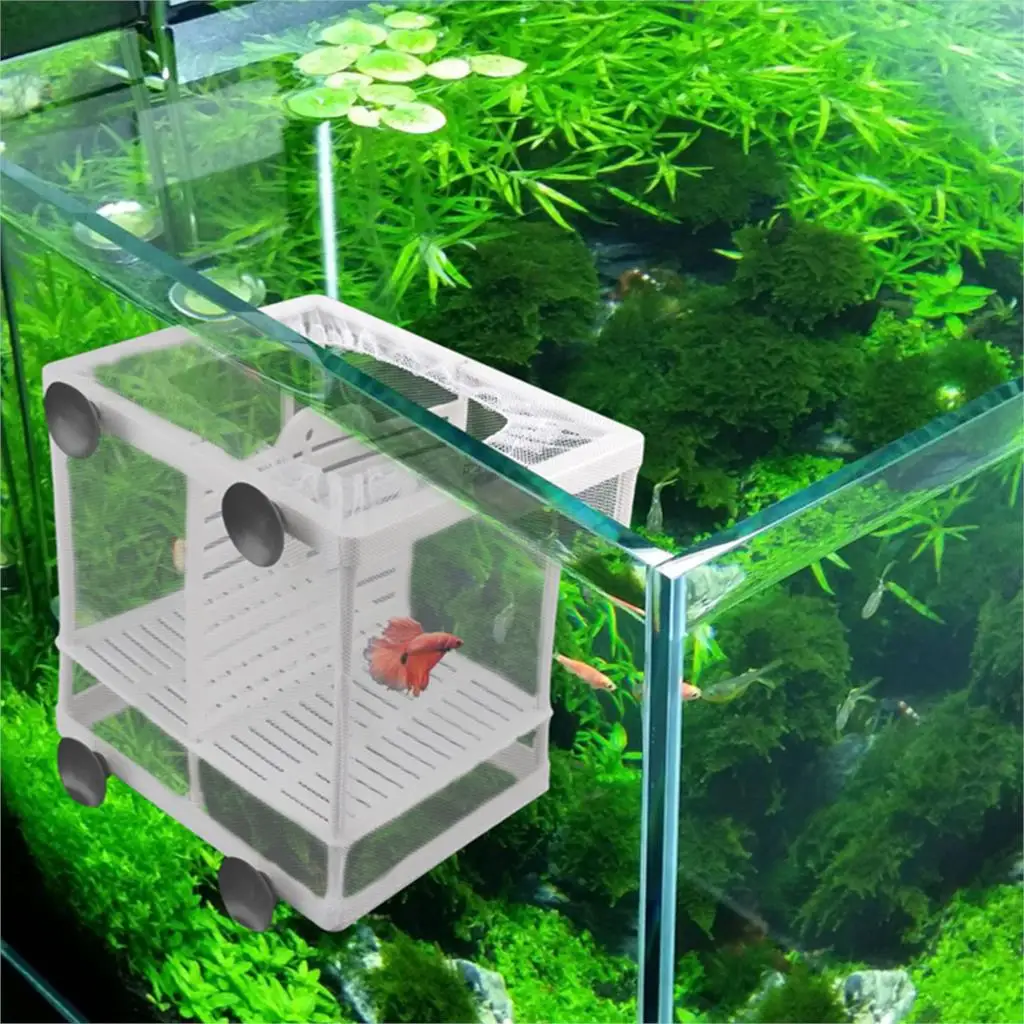 

Aquarium Fish Tank High Clear Fish Breeding Isolation Box Aquarium Breeder Fish Tank Double Guppies Hatching Incubator