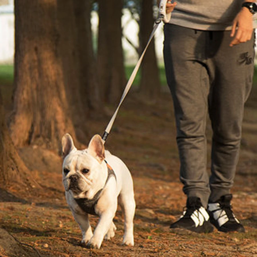 Индивидуальный жилет для маленьких собак Мягкий регулируемый роскошный мягкий