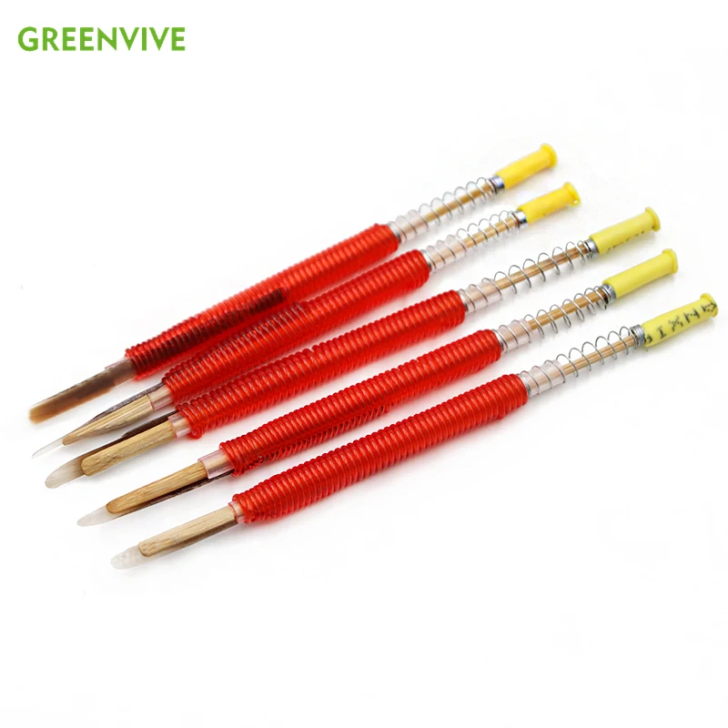 

5Pcs Bee Tools Moving Insect Worm Needle Move Queen Bee Larvae Needle Apiculture Tool Bees and Beekeeping Equipment