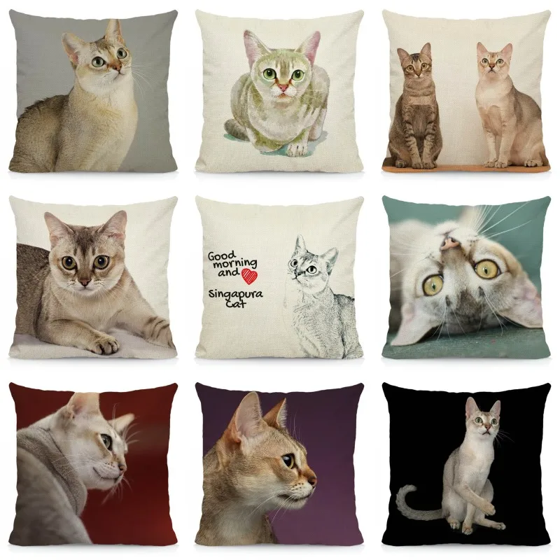 

Декоративный чехол для подушки с изображением Сингапура, 45x45 см