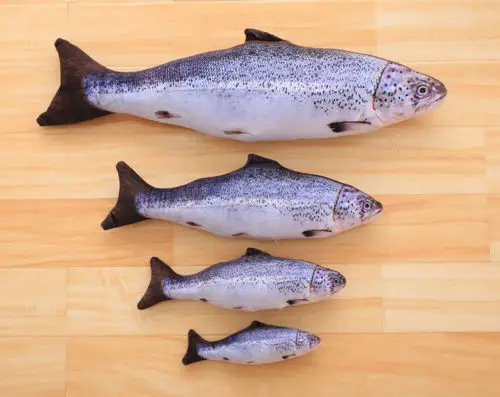 Salmon Плюшевый 3D питомец кошка, Дразнилка для котенка, забавная игрушка для игры в рыбку, кошачья мята - Цвет: Salmon