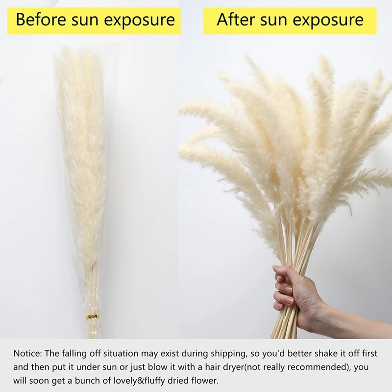 Pampas blancas secas de 60 piezas, 17,72 pulgadas, hierba y flor seca marr&oacute;n y ca&ntilde;a seca Natural, decoraci&oacute;n Natural del Hogar-4