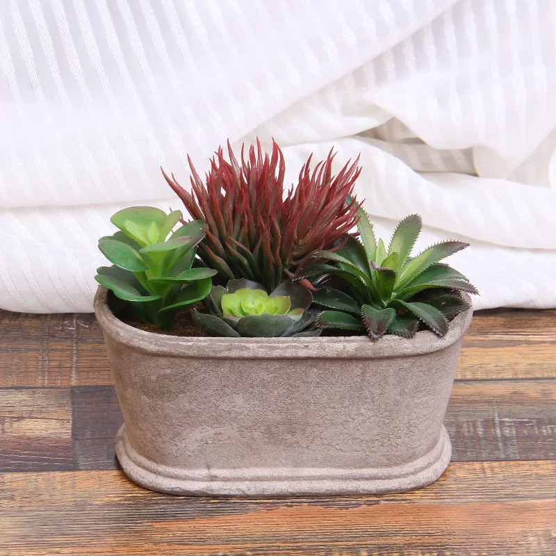 Суккуленты и кактус растения suculentas бонсай Искусственные суккуленты магазин