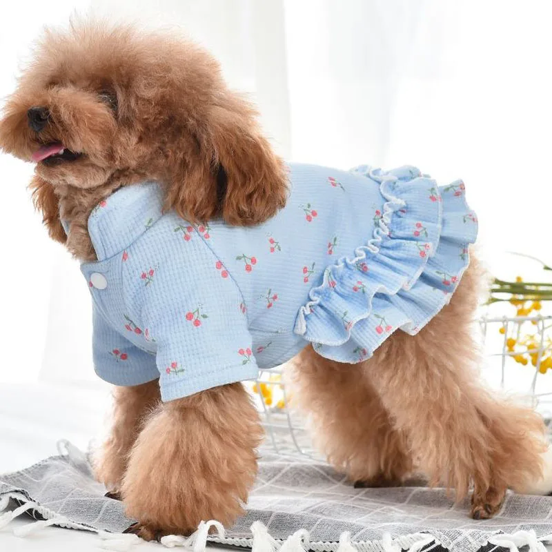 Милая Одежда для кошек пальто собак платье куртка зимний костюм с теплой юбкой