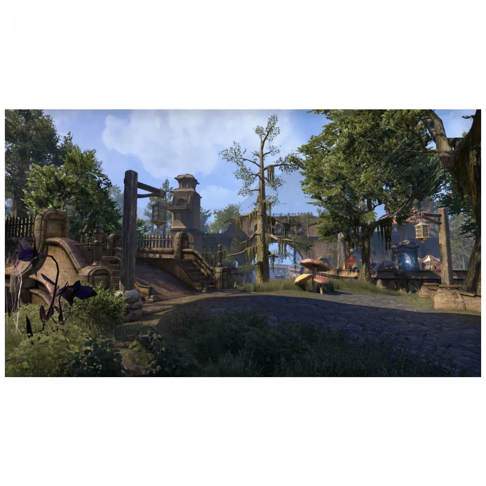 Игра для Sony PlayStation 4 Elder Scrolls Online: Morrowind (русская документация) | Электроника