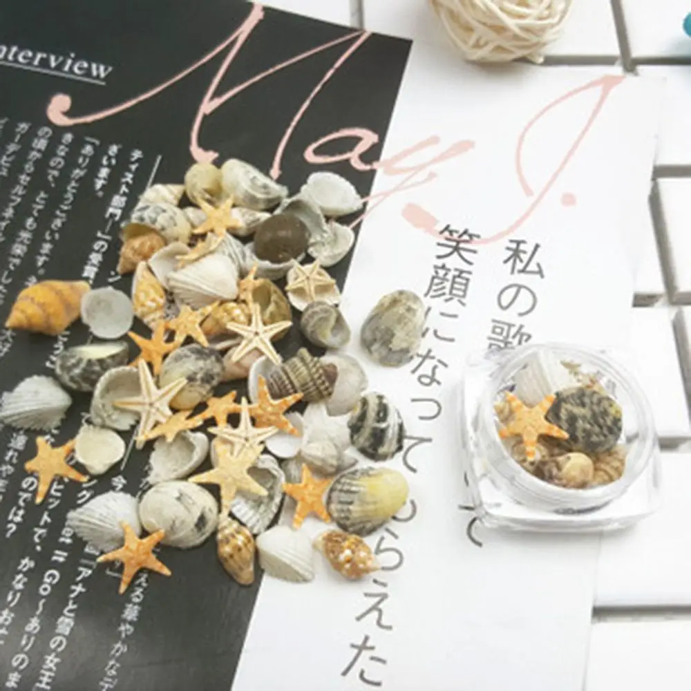 3D натуральное украшение для ногтей мини ракушки раковины морские украшения