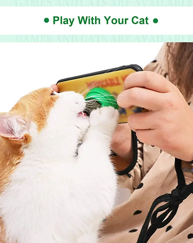 Pet Cat Натуральная кошачья мята для лакомства украшения дома на стене игрушки