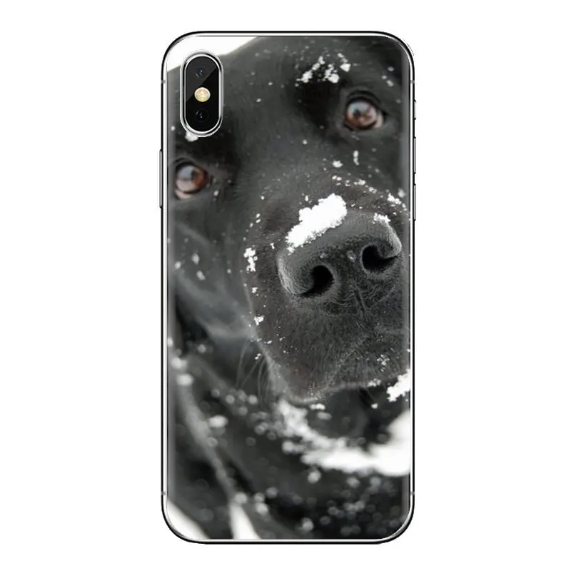 Transparent Soft Shell Covers For Xiaomi Redmi 4A S2 Note 3 3S 4 4X 5 Plus 6 7 6A Pro Pocophone F1 The Labrador Retriever dogs |