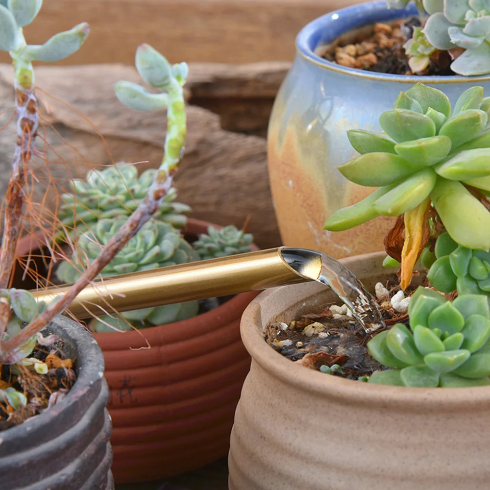 

1pc Plants Watering Can Stainless Steel Long Spout Succulents Watering Kettle Gardening Tool (Golden)
