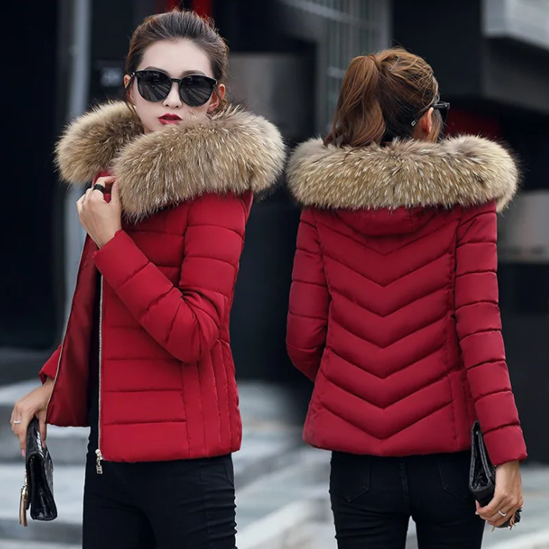 Новинка Зима 2019 стильная женская одежда в Корейском стиле с хлопковой подкладкой