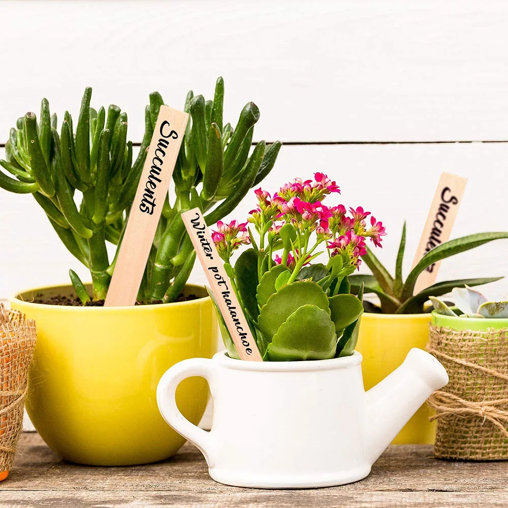 Wood Plant Labels Eco-Friendly Wooden Plant Signage Card Tags Garden Markers for Seed Potted Herbs Flowers Vegetables Tools