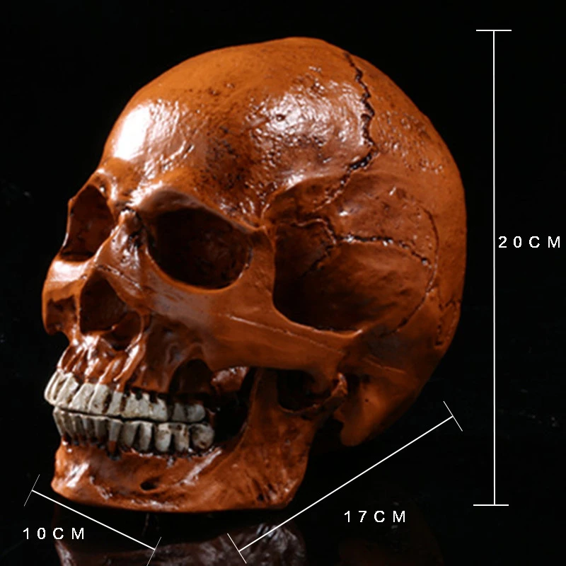 Статуя черепа человека для домашнего декора статуэтки из смолы украшение на