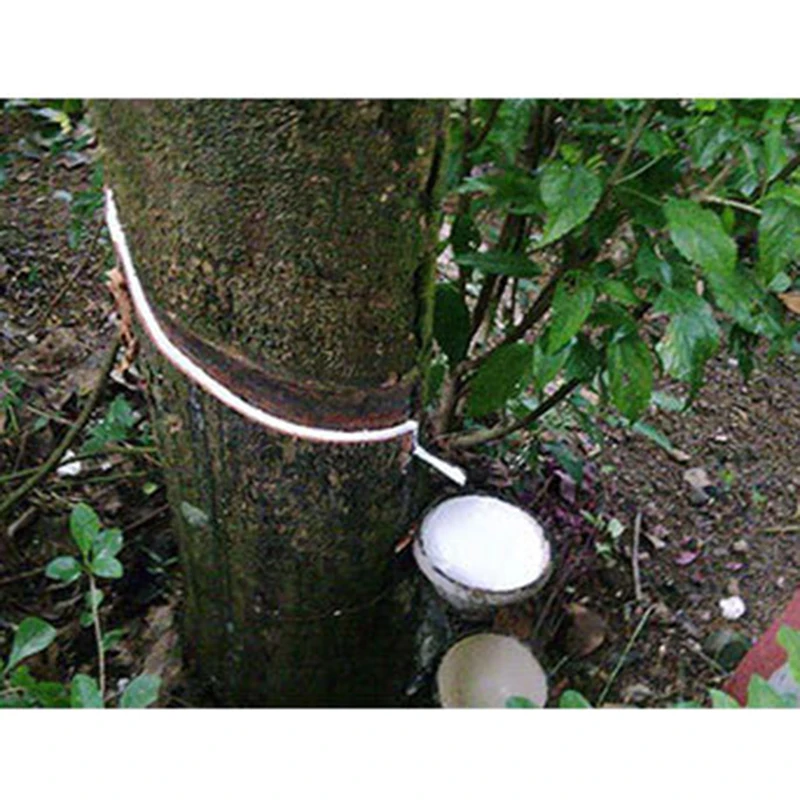 1 шт. коврик для ножек с тремя закруглениями горнолыжная палочка скользящая