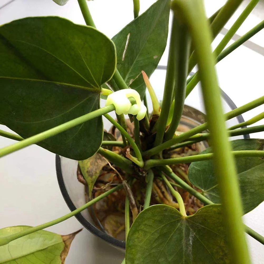 

5pcs 90 Degree Plant Bender Silicone Branches Bender Planting Trainer Clamp