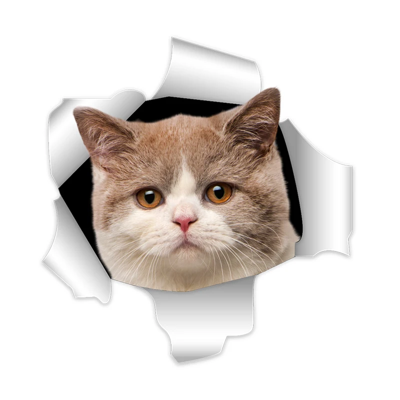

Cute 3D Cat Stickers Hole View Vivid Cat PVC Car Stickers and Decals Home Wall Bathroom Toilet Stickers Car Styling Stickers