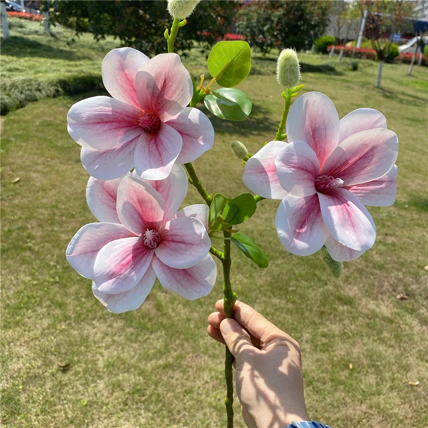 Натуральный большой цветок магнолии ветка с листьями домашний декор