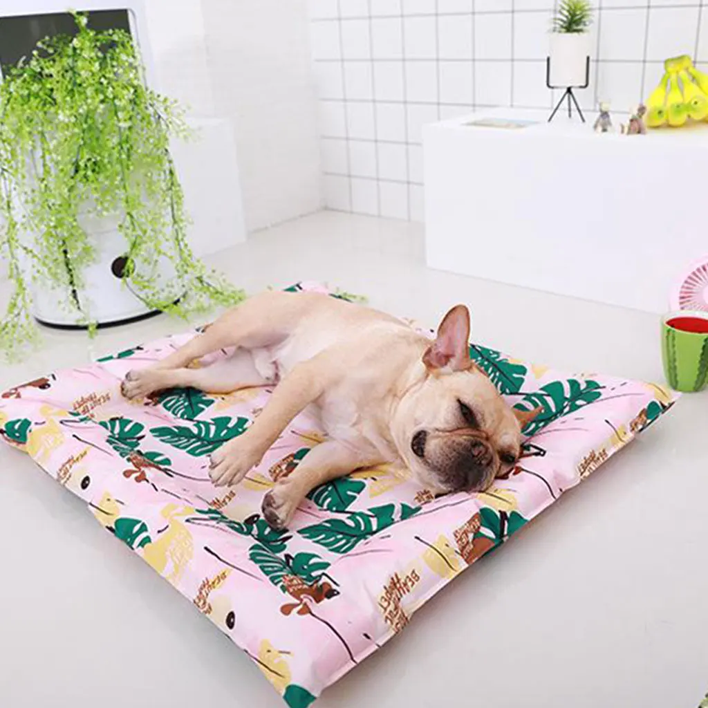 

Pet Products