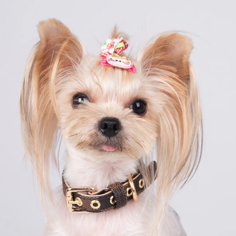 Conjunto de Correa y Collar para perro, accesorios de dise&ntilde;o para Bulldog Franc&eacute;s, Schnauzer Corgi, Chihuahua, Gato de cuero-1
