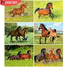 HUACAN 5D Diy наборы для алмазной живописи животное лошадь мозаика вышивка Луг вышивка крестиком Стразы картина домашнее искусство