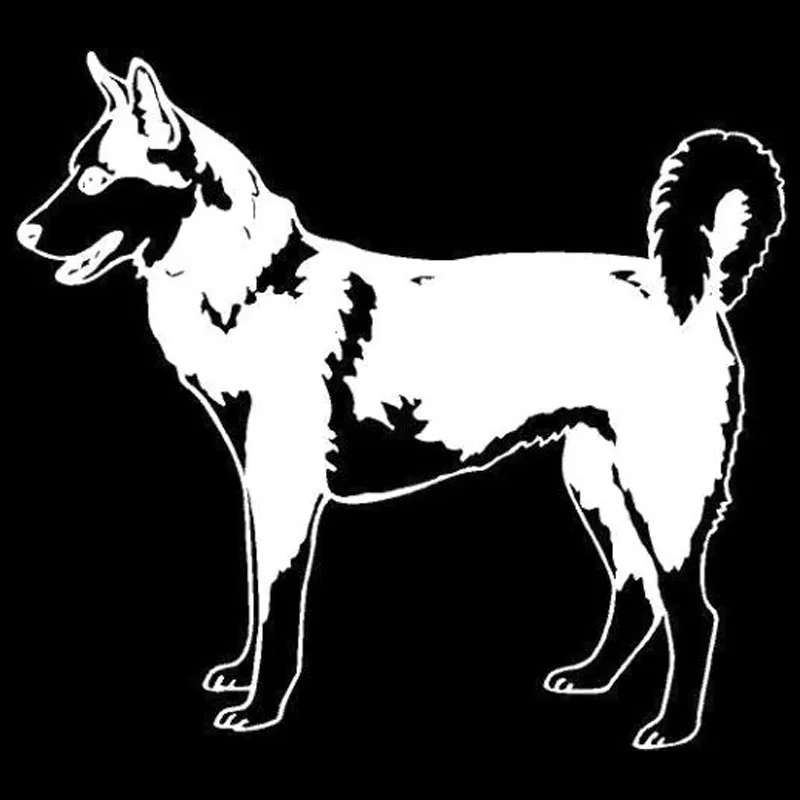 

13x12cm Funny dog Vinyl Car stickers Decals Motorcycle Accessories Car-Window Decorative Goods PVC