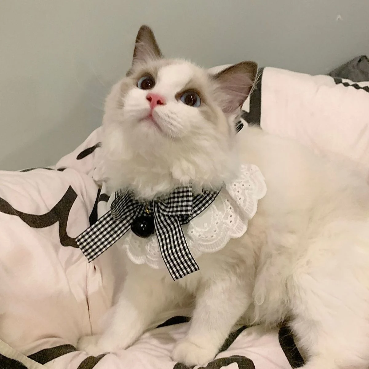 Кружевной нагрудник с бантом и жемчужинами для кошек собаки женский котят милый