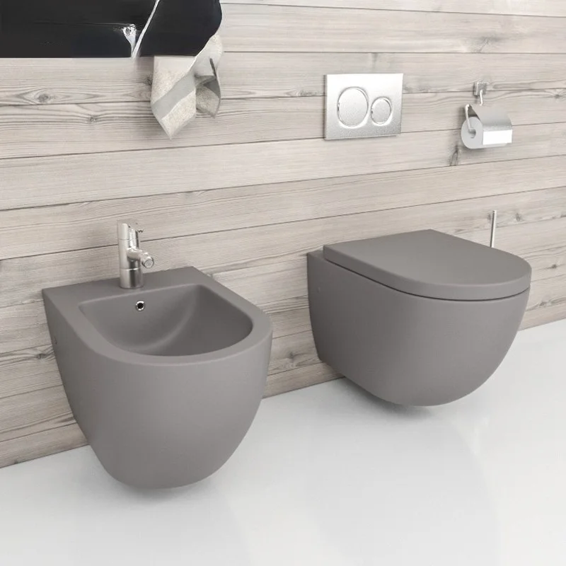 

Modern Wall Mounted Matt Grey Bidet Toilet